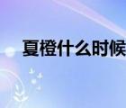 夏橙什么時候收果（夏橙什么時候成熟）