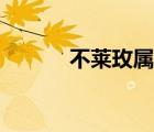 不萊玫屬于幾線品牌（不萊玫）