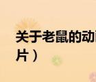關(guān)于老鼠的動畫片80年代（關(guān)于老鼠的動畫片）
