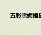 五彩雪媚娘皮的做法（五彩雪花扇貝）