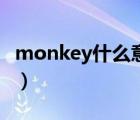 monkey什么意思呀（monkey什么意思中文）