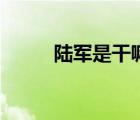 陸軍是干嘛的（陸軍是干什么的）
