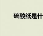 硫酸紙是什么意思（硫酸紙是什么）