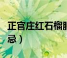 正官莊紅石榴服用禁忌（正官莊紅石榴服用禁忌）