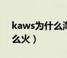 kaws為什么淘寶沒有店鋪（kaws為什么這么火）