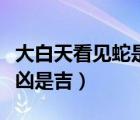大白天看見蛇是好還是不好（大白天看見蛇是兇是吉）