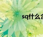 sq什么含義（sq什么意思?。?/>
                                    </a>
                                                </div>
                                    <div   id=