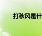 打秋風(fēng)是什么（打秋風(fēng)是什么意思）