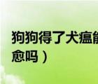 狗狗得了犬瘟能不能吃飯（狗狗得了犬瘟能自愈嗎）