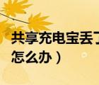共享充電寶丟了能定位到嗎（共享充電寶丟了怎么辦）