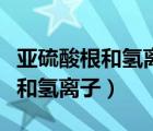亞硫酸根和氫離子為什么不能共存（亞硫酸根和氫離子）