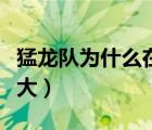 猛龍隊(duì)為什么在多倫多（猛龍隊(duì)為什么在加拿大）