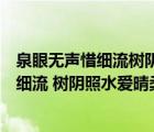 泉眼無聲惜細(xì)流樹陰照水愛晴柔寫了幾種景物（泉眼無聲惜細(xì)流 樹陰照水愛晴柔）