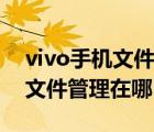 vivo手機文件管理在哪個文件夾（vivo手機文件管理在哪）