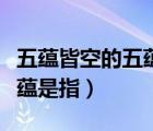 五蘊皆空的五蘊是指什么生肖（五蘊皆空的五蘊是指）