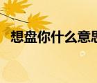 想盤你什么意思是什么（想盤你什么意思）