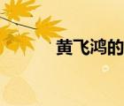 黃飛鴻的故鄉(xiāng)（黃飛鴻的妻子）