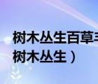 樹木叢生百草豐茂秋風(fēng)蕭瑟洪波涌起的意思（樹木叢生）