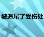 被追尾了受傷處理流程（bz網(wǎng)絡(luò)是什么意思）