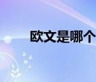 歐文是哪個民族（歐文是哪個隊的）