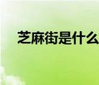 芝麻街是什么平臺（芝麻街是什么牌子）