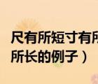 尺有所短寸有所長(zhǎng)造句怎么造（尺有所短寸有所長(zhǎng)的例子）