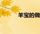 羊寶的做法教程（羊寶的做法）