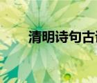 清明詩句古詩大全（清明詩句 古詩）