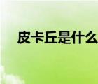 皮卡丘是什么動(dòng)物（皮卡丘是什么動(dòng)物）