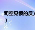 司空見慣的反義詞有哪些（司空見慣的反義詞）