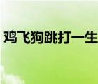 雞飛狗跳打一生肖數字（雞飛狗跳打一生肖）