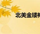 北美金縷梅的危害（北美金縷梅）