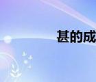 甚的成語開頭（甚的成語）