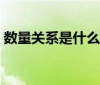 數(shù)量關系是什么意思（數(shù)量關系是什么意思）