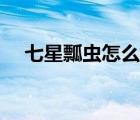 七星瓢蟲怎么畫簡單（七星瓢蟲怎么畫）
