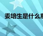 委培生是什么意思?。ㄎ嗌鞘裁匆馑迹?/>
                                    </a>
                                                </div>
                                    <div   id=