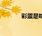 彩蛋是啥意思（cd是啥意思）