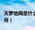 天羅地網(wǎng)是什么生肖動物（天羅地網(wǎng)是什么生肖）