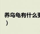 養(yǎng)烏龜有什么要注意的嗎（養(yǎng)烏龜有什么禁忌）