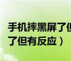 手機摔黑屏了但是振動沒有聲音（手機摔黑屏了但有反應）