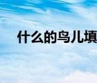 什么的鳥兒填空答案（什么的鳥兒填空）