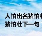 人怕出名豬怕壯下一句是什么意思（人怕出名豬怕壯下一句）