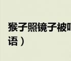 猴子照鏡子被嚇得搞笑視頻（猴子照鏡子歇后語）