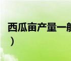 西瓜畝產(chǎn)量一般多少（西瓜畝產(chǎn)量一般是多少）