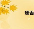 翹舌音節(jié)（翹舌音節(jié)）