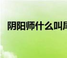 陰陽師什么叫尾巴（陰陽師誰的尾巴最多）