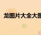 龍圖片大全大圖霸氣3d（龍圖片大全大圖）