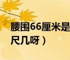 腰圍66厘米是幾尺幾的腰（腰圍66厘米是幾尺幾呀）