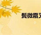 鬢微霜又何妨全詩（鬢微霜）