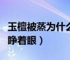 玉檀被蒸為什么其他人會吐（玉檀被蒸為什么睜著眼）